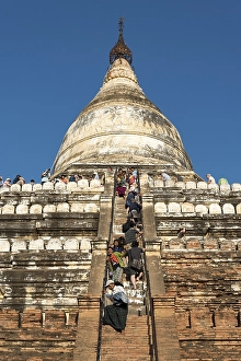 Category Buddhism Prints: Visitors climb steep steps of Shwesandaw Pagoda