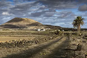 Volcanic crater, Dusty rural road leads past a lonely palm tree to a gentle volcano under a dramatic cloudy sky