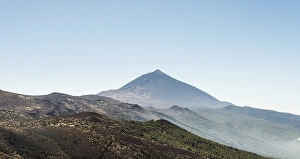 Category Mountain Landscapes Prints: Volcanic landscape and a pine forest with Pico del Teide