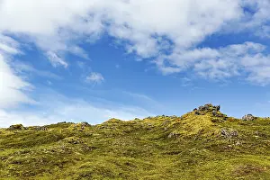 Volcanic rock, overgrown with moss