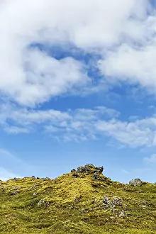 Volcanic rock, overgrown with moss