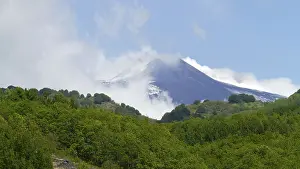 The volcano Etna in the background with a green forest in the foreground under a blue sky