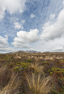 Category Mountain Landscapes Prints: Volcano Mount Tongariro and Mount Ngauruhoe