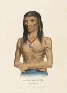 Wa-Bish-Kee-Pe-Nas. The White Pigeon