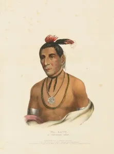 Wa-Kawn, A Winnebago Chief (1841)