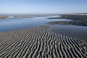 Wadden Sea, Amrum, Schleswig-Holstein, Germany