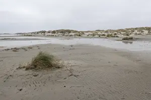 Wadden Sea with dunes, Amrum, Schleswig-Holstein