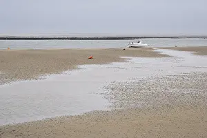 Wadden Sea at low tide with numerous piles of lugworms