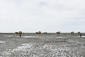 Waders and horse-drawn carriages