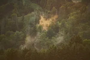 Wafts of fog above a forest at sunset