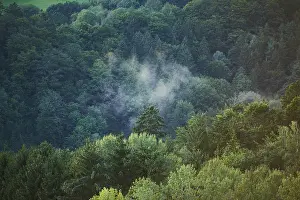 Wafts of fog above a forest at sunset