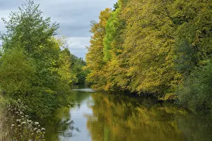 Wald an der Hunte bei Barnefuhrer Holz in autumn