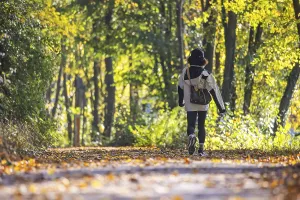 A walk through a colourful autumn forest