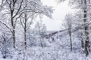 Walk through the snowy winter forest in the German low mountain range