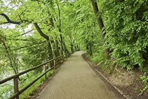 Walking path beside Isar river flowing through munich on a rainy day