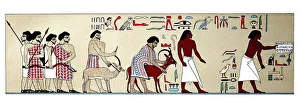 Wall paintings in the tomb of Nomarch Chnumhotep II
