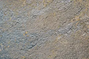 Category Historic EN Prints: Wall surface painted of various colors as abstract background texture