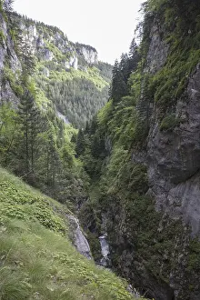 Wallcreeper nesting habitat in the Trigrad Gorge