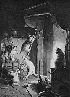 Walpurgis Night of the Cats, historical engraving