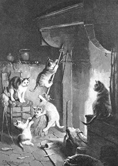 Walpurgis Night of cats trying to ride a broom