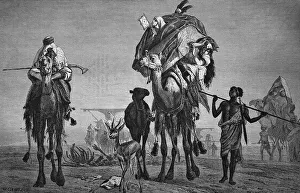 Wandering harem of a Bedouin in the desert