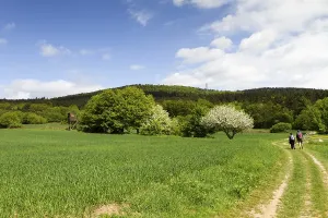 Wandertouristen auf dem Rheinsteig Wanderweg Mittelrheintal