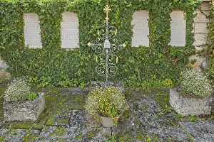 War memorial with traveller's joy (Clematis vitalba)