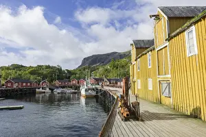 Category Scandinavia Prints: Warehouse and Rorbuer fishermen's cabins in the port of Nusfjord