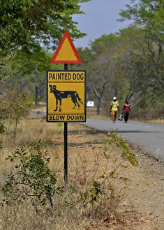 Warning Sign Painted dog, Attention African Wild Dogs