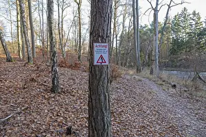 Framed Print : Warning sign warns of risk of accidents due to falling branches and falling trees Framed Print : Warning sign warns of risk of accidents due to falling branches and falling trees