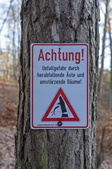 Warning sign warns of risk of accidents due to falling branches and falling trees
