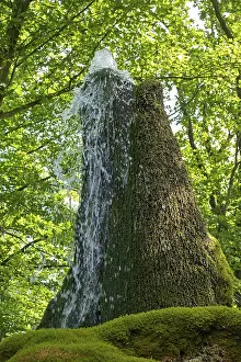 Wasserbaum, Ockensen, Salzhemmendorf