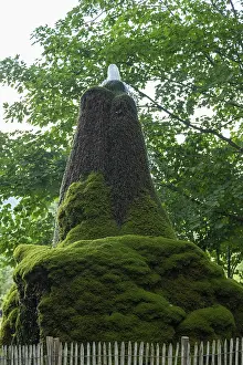 Wasserbaum, Ockensen, Salzhemmendorf