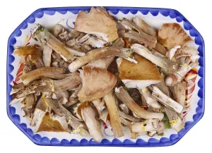 Waste and garbage of shitake real forest tree mushrooms on clay plate