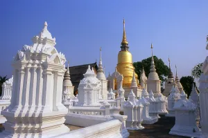 Wat Suan Dok (Thai: วัดสวนดอก)