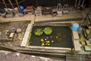 Water and objects, RyUshaku-ji