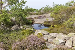 There are many water points on the Vetteberg