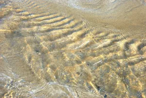 Water on the sand, Sunlit ripples over sand create textured patterns and reflections in shallow water