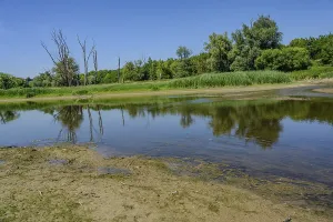 Water surface with reflected sky and surrounding green shore