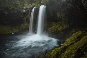 Waterfall in dense vegetation, Koosah Falls