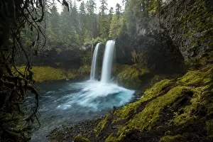 Waterfall in dense vegetation, Koosah Falls