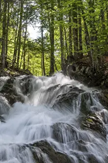 Waterfall in the Dr. Vogelgesang gorge at the Trattenbach
