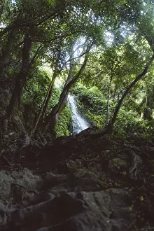 A waterfall, hidden in the dense forest