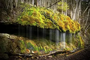 Waterfall, mossy, Wutachschlucht gorge