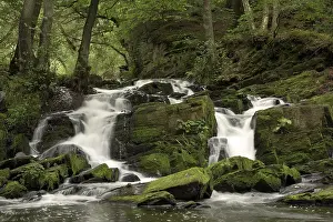 Waterfall, mountain stream Selke