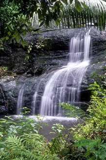 A waterfall in Nelliyampathy, Kerala