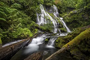 Waterfall, Panther Creek Falls