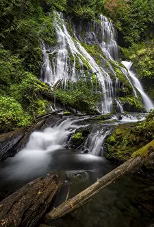Waterfall, Panther Creek Falls