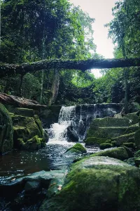 Waterfall in a verdant forest with rocks and lush greenery surrounding it