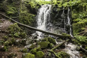 Waterfall, Windberg Waterfall, St Blasien